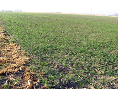Property photo 20 - 60 Acres Offered in 2 Tracts
